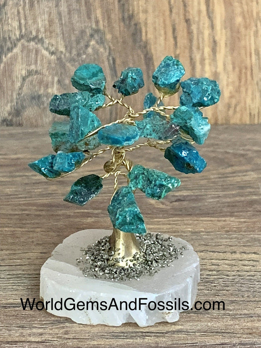 Chrysocolla Gem Tree On Onyx Base