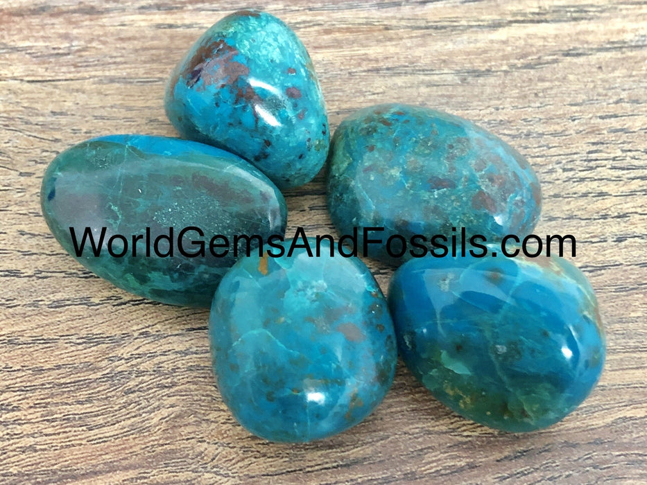 Chrysocolla Tumbled Stones 5pcs