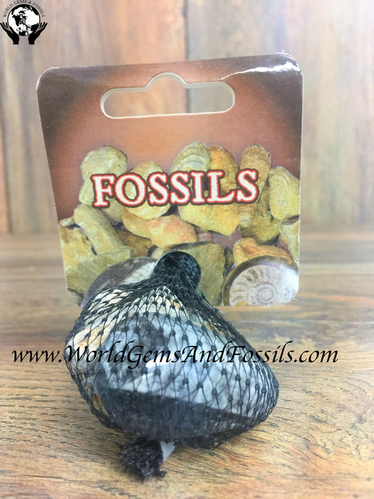 Fossil Bag