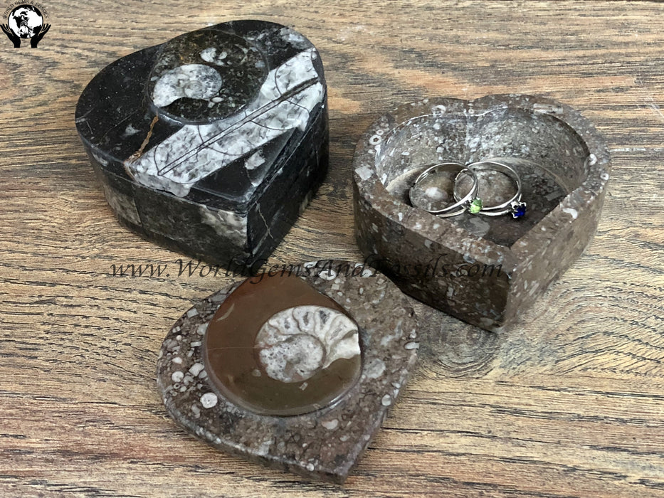 Fossil Jewelry Boxes Heart