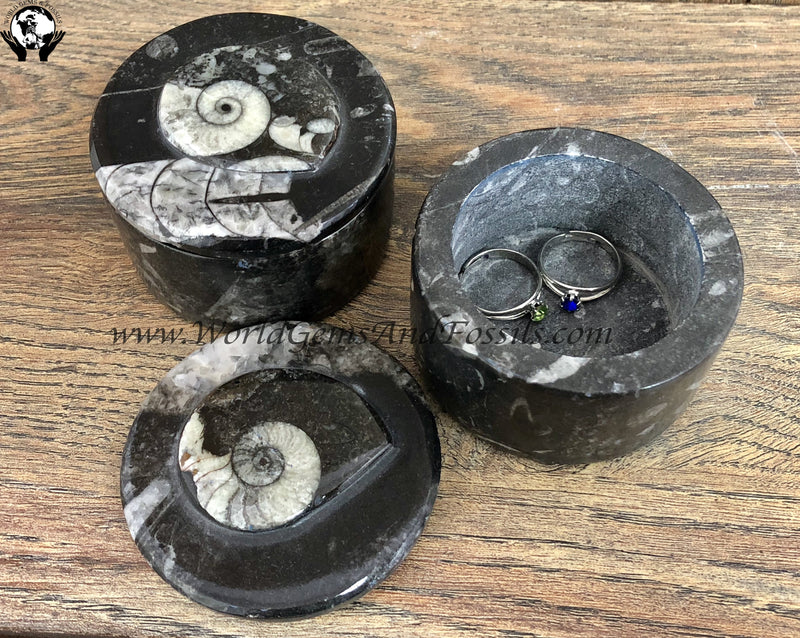 Fossil Jewelry Boxes Round