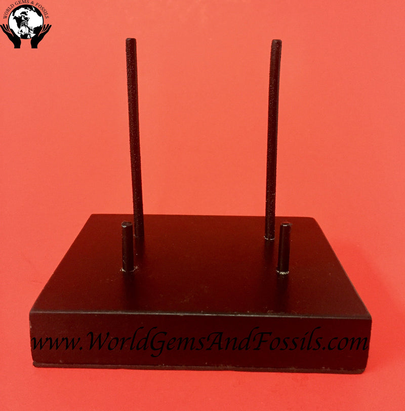 Four Prong Display Stand