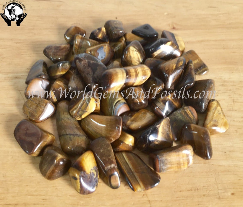 Gold Tiger Eye Tumbled Stone 1 lb