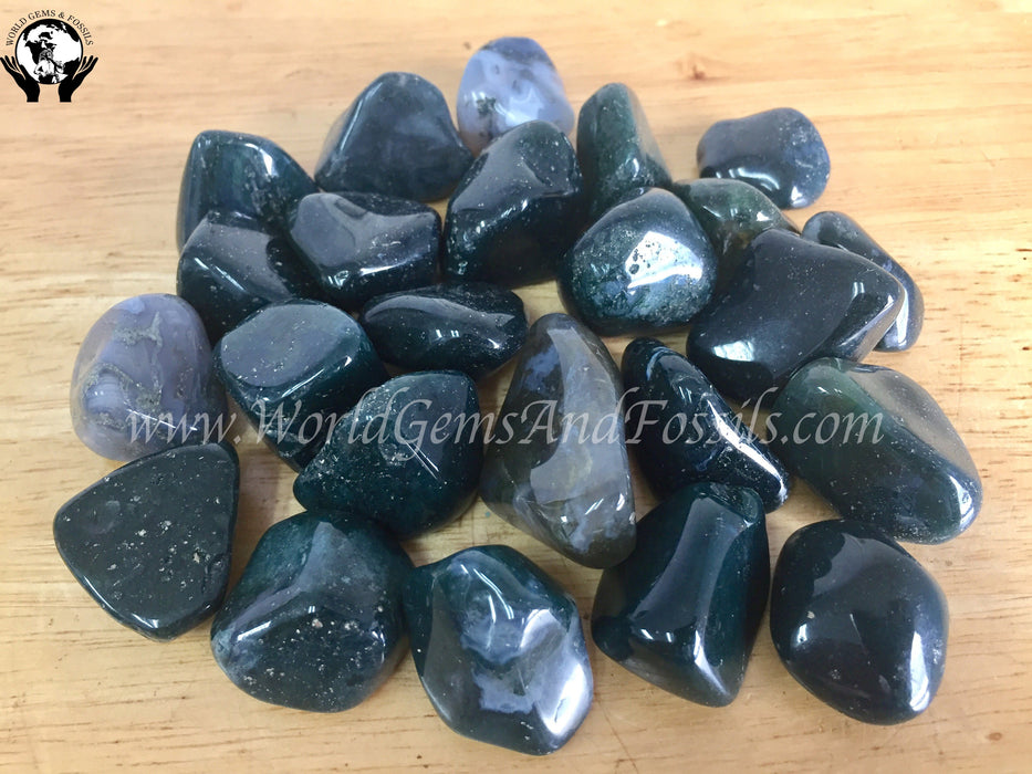 Green Moss Agate Tumbled Stone 1 lb