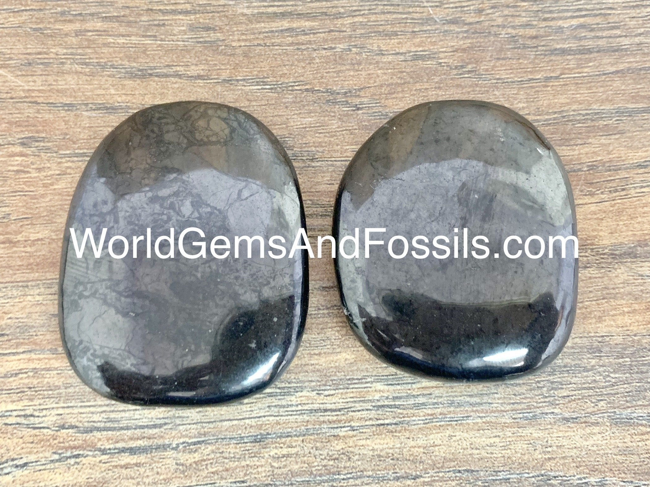 Shungite Palm Stones