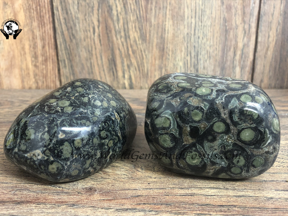 Kambaba Jasper Thearpy Stones