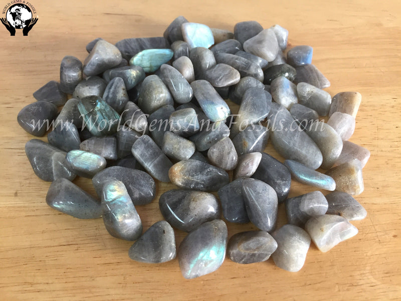 Labradorite Tumbled Stones 1 lb