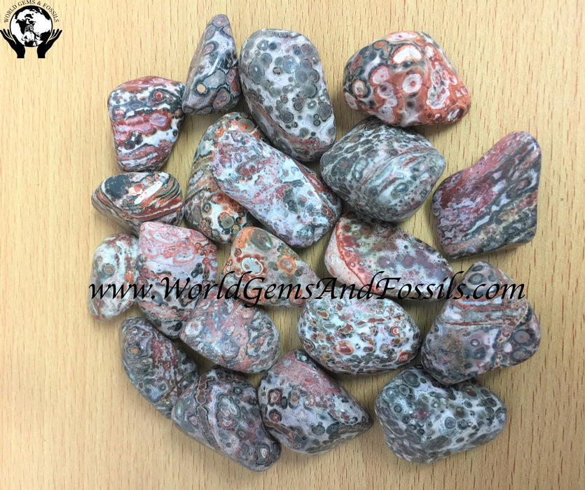 Leopard Skin Jasper Tumbled Stone 1 lb