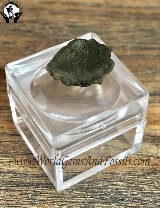 Moldavite Specimen In Magnifying Box