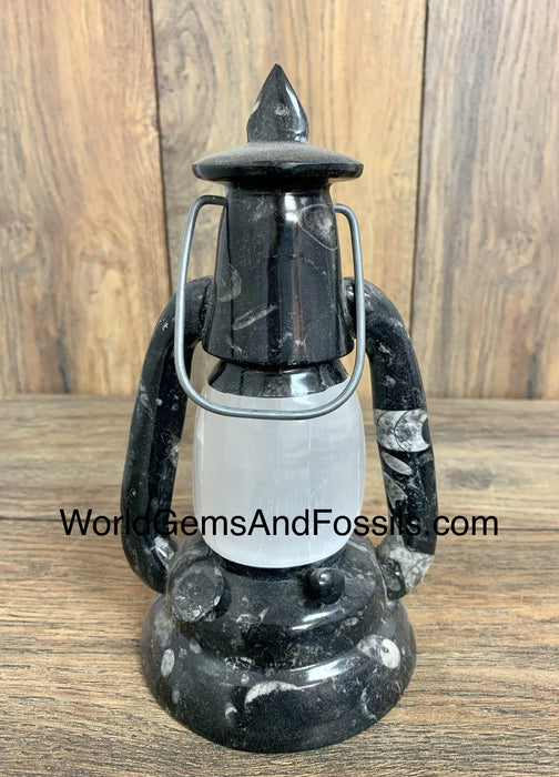 Orthoceras Fossil Lamps With Cord 1