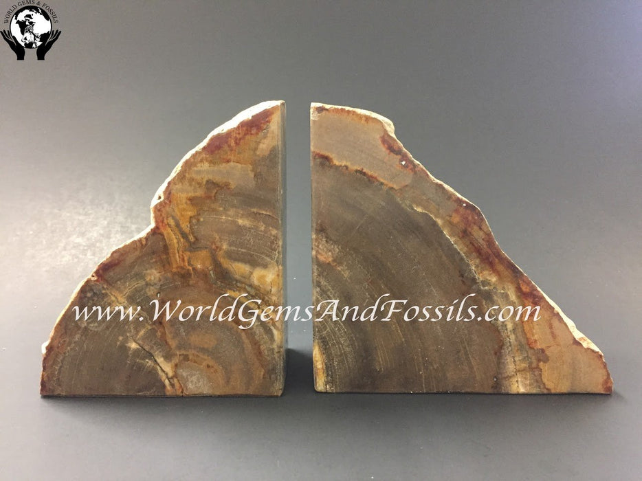 Petrified Wood Book Ends