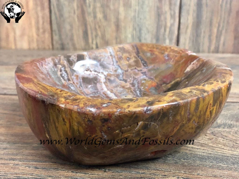 Petrified Wood Bowl C
