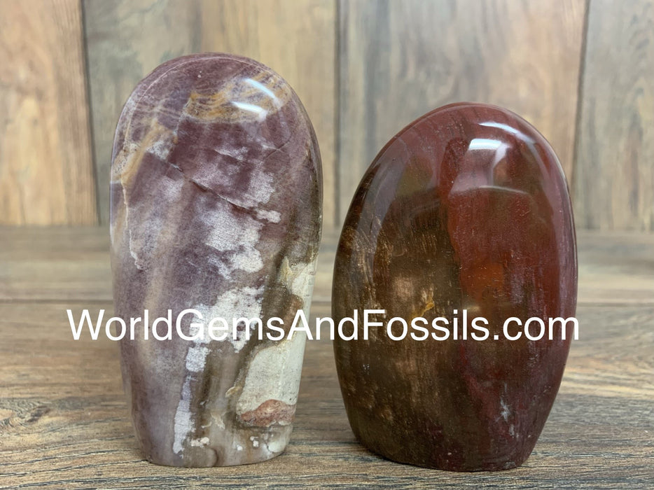 Petrified Wood Free Form 1