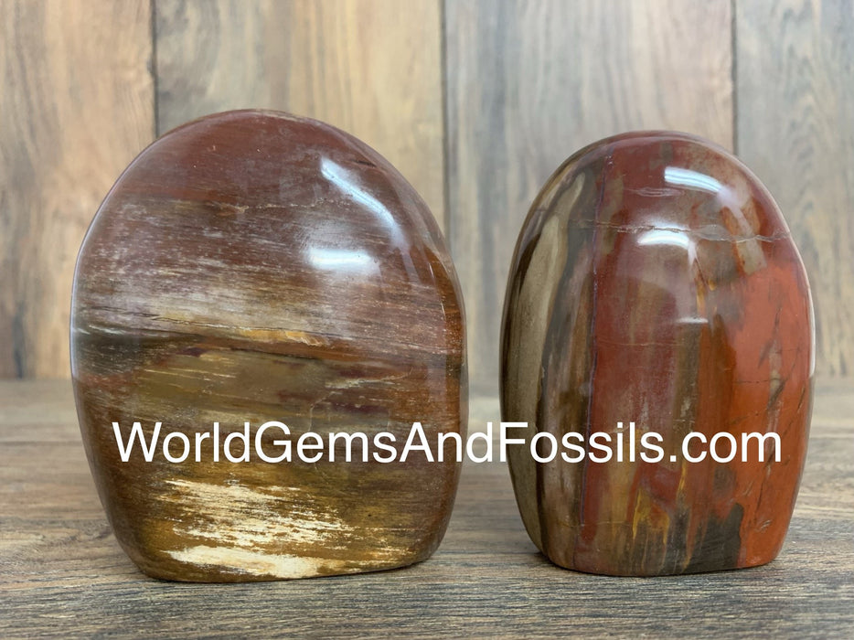 Petrified Wood Free Forms 3