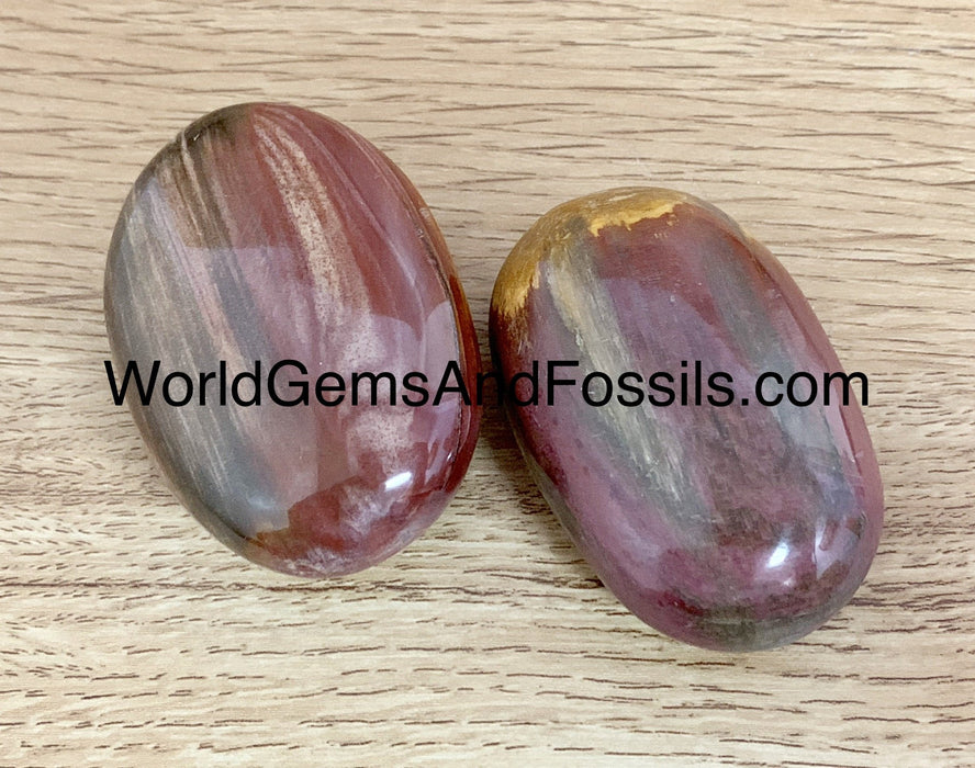 Petrified Wood Palm Stone