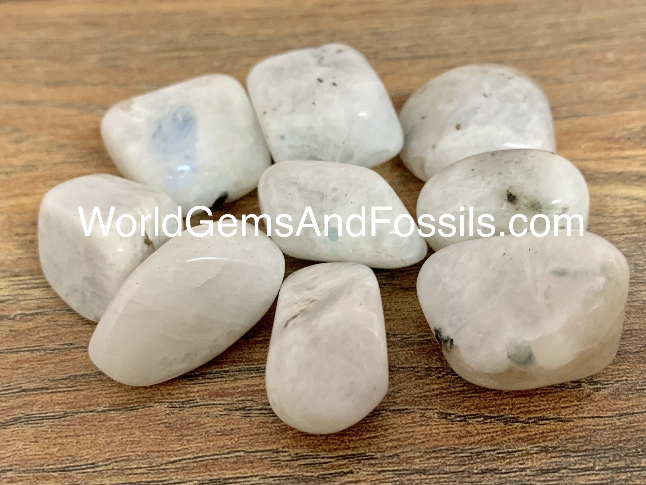 Rainbow Moonstone Tumbled Stones 1lb