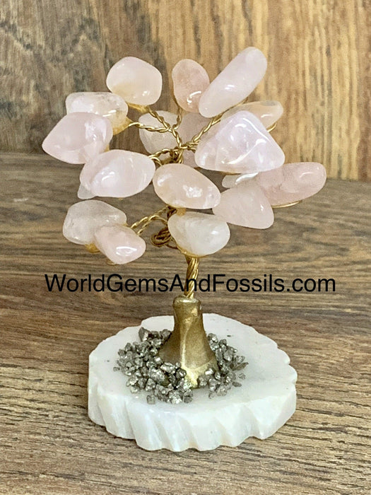 Rose Quartz Gem Tree On Onyx Base
