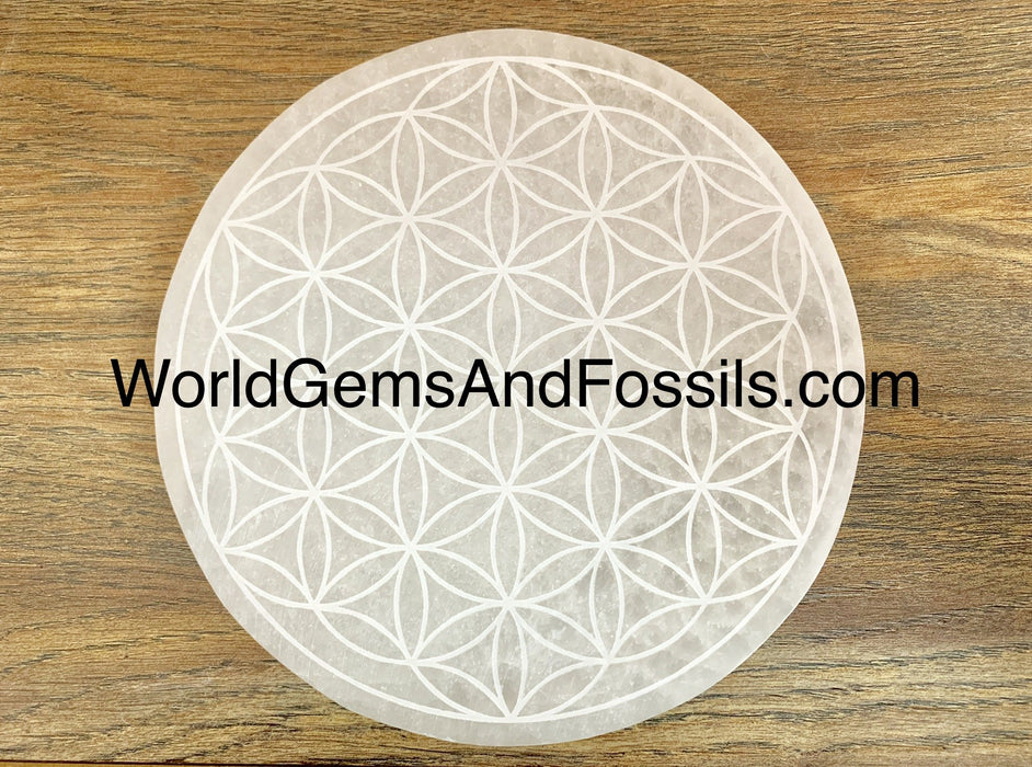 Selenite Flower Of Life Plate Circle 6"