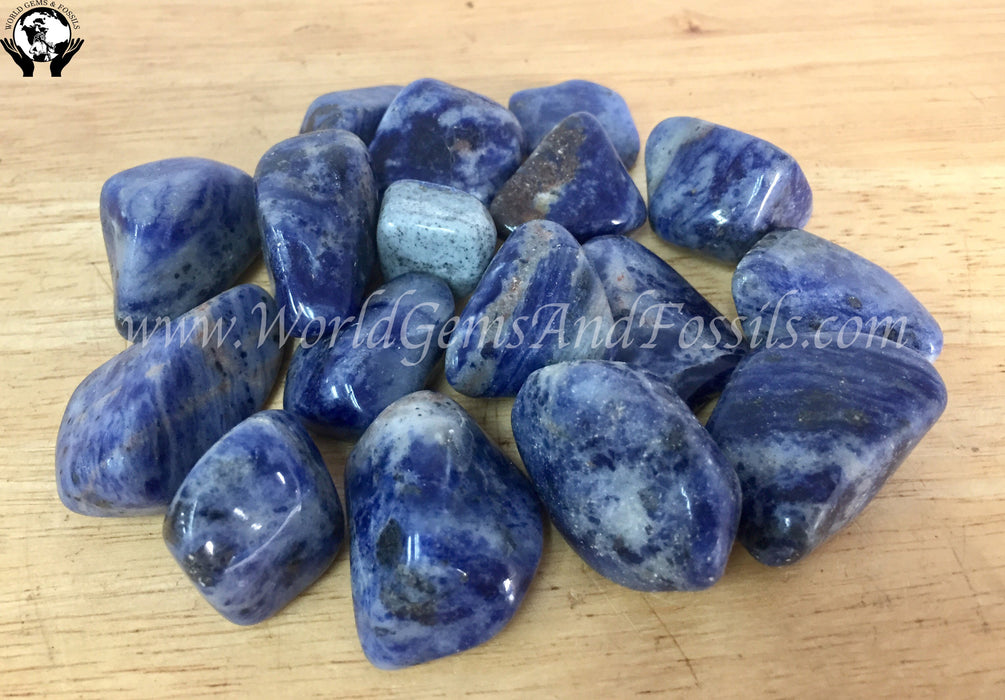 Sodalite Tumbled Stone 1lb