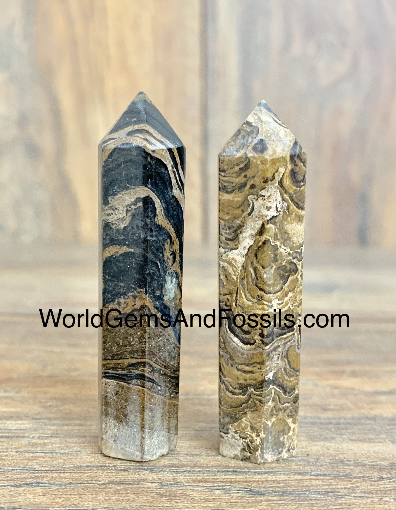 Stromatolite Points