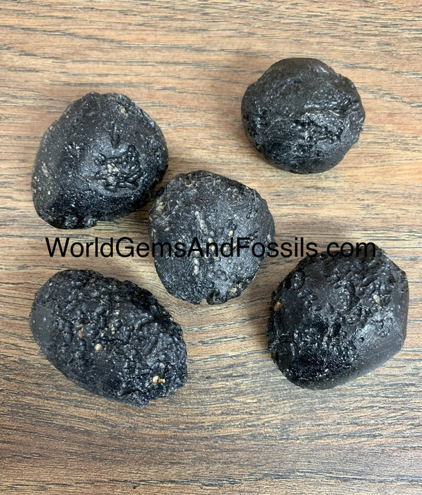 Tektite 1 lb