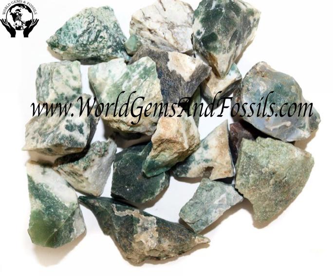 Tree Agate Rough Stone 1 lb